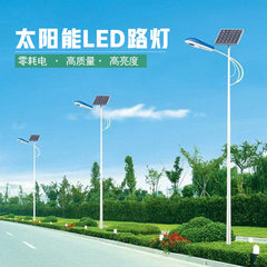 Rural project solar street lamp integration 30W ru Solar energy integrated street lamp
