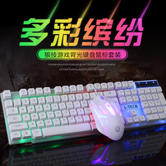 发光键鼠套装电脑机械手感背光键盘鼠标套装USB接口办通家用游戏 白色七彩套装（键盘+鼠标）