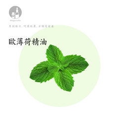 Magaroma high quality imported peppermint refreshing Xingnao oil dandruff aromatherapist standing