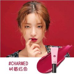 The spot of Korea 3ce liquid lipstick new type tubular toothpaste matte matte velvet Color Lip Gloss 8g CHARMED