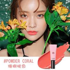 Color type lip gloss matte lipstick lip Velvet Matte paint tubular moisture Korean 8g liquid toothpaste #POWDER CORAL