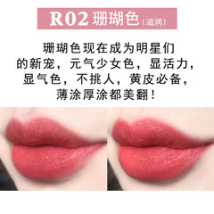 Shipping lasting moisturizing lipstick color waterproof non stick cup lip biting matte lipstick R02 coral