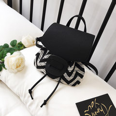 Canvas bags handbags 2017 summer New South Korea fashion woven backpack shoulder Travel Backpack Mini black