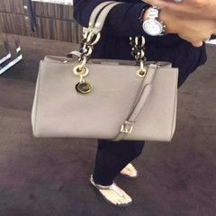 2017 new Gao Yuanyuan Song Jia with cross pattern leather chain portable shoulder diagonal Diana tortoise bag silvery