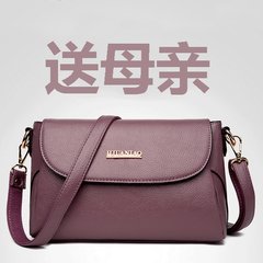 Mommy wrapped the middle-aged female bag 2017 new summer all-match upscale atmosphere in elderly women's Satchel Bag