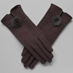 Type warm gloves, touch gloves, female models, winter driving, spring and autumn single touch screen gloves, women's autumn and winter cotton women Purple bean touch screen models