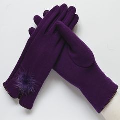 Type warm gloves, touch gloves, female models, winter driving, spring and autumn single touch screen gloves, women's autumn and winter cotton women Violet touch screen