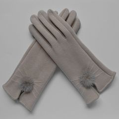 Type warm gloves, touch gloves, female models, winter driving, spring and autumn single touch screen gloves, women's autumn and winter cotton women Shallow rice touch screen