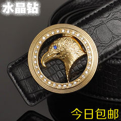 Round the eagle diamond crystal diamond crocodile leather belt buckle belt men's fashion designer birthday gifts 105cm