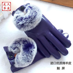 2016 new autumn and winter warm touch gloves Leather Ladies Rex burr plus velvet sheep leather gloves
