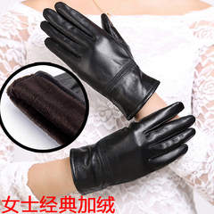 Leather gloves riding men thin drive outdoor plus velvet lady Haining warm sheep skin single leather gloves Ladies classic black (plus cashmere)