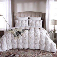 Jun Rong textile new duvet 95% white goose was thickened by warm winter were high-grade core double products 200X230cm