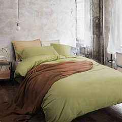 纯色简约磨毛四件套全棉 被套床单枕套双人纯棉冬加厚绒床上套件 艾绿 1.5m（5英尺）床