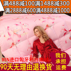 Winter duvet sheets Double thick warm white goose down quilt 95% five-star hotel was the core of genuine velvet 40 220*240 of common goose Lily is Pink Velvet - Fashion - thick section