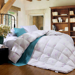 Anna textile duvet in winter is warm quilt was the core thickened down by the core is thick winter velvet Zhen 200X230cm