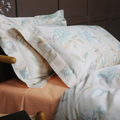 Bai Wen spring cotton fresh 60 Satin four piece cotton bed linen bedding printing AG6217 Joshua M 1.5-1.8 meter bed (quilt cover 200*230)