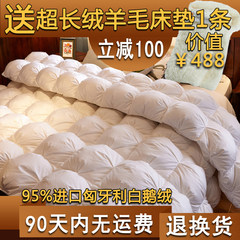 95 white goose down duvet imported thickened winter quilt duvet core cotton satin double genuine special offer 40 220*240 of common goose French bread is white standard