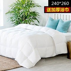 The hotel was exported to Europe in summer 95 white goose feather core thin cashmere summer was increased by double air conditioning 240x260 +1 yuan, buy export towels