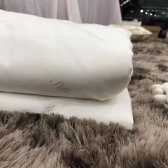 Silk cotton is soft shell is summer air conditioning export double spring nap thin quilt core mother Sarah 200X230cm JC. Original summer quilt for export