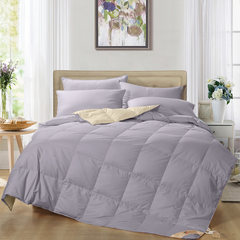 The air conditioning is down by summer thin quilt core white eiderdown sheet double is autumn is cool in summer by children 200X230cm Silver meters