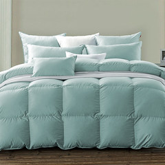 95 white goose down duvet is 100 colorful cotton duvet winter warm double quilt core is thickened 150X210 (fill 500g Bluish grey