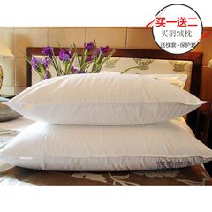 15% off, five star hotel suite, down pillow core, 1 to 75%, containing cashmere, one large, one medium, soft pillow case