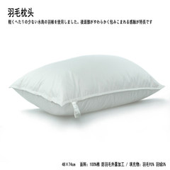 No good bird feather pillow India section wool single pillow cotton adult down pillow to be washed A white one