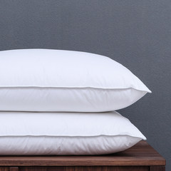 Home / down pillow / cotton /48*74cm/ neck pillow / five star hotel pillow 10cm pillow (1)