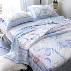 The high-end lace Silky Summer 80s sides Tencel cool in the summer is a thin quilt can be washed by air conditioning 200X230cm Lara, summer quilt
