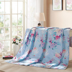 Carolina textile LoVo summer summer is cool thin air conditioning quilt core Yunrui / Peggy anti mite is summer 200X230cm Cloud core anti mite summer quilt