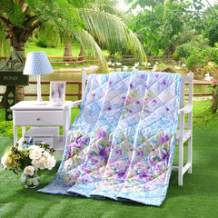 Special summer air conditioner is cool in summer, quilt in spring and autumn, quilt, core, dormitory, single person, double students, washable summer, ordinary goose, 80 jacquard 150*210 Wisteria flowers.