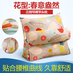 Pillow pillow cushion pillow sofa bed notothyrial office window waist pillow waist waist pillow Large square pillow: 50X50cm Spring is in the air