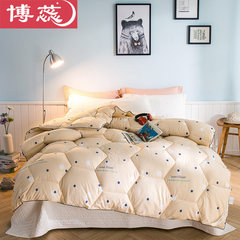 Bo Rui quilt winter is warm, double thickening, spring and autumn quilt core dormitory, air-conditioning is winter single space quilt 2.2x2.4 meters, 5 catties, spring and Autumn Funho