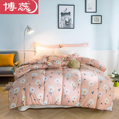 Bo Rui quilt winter is warm, double thickening, spring and autumn quilt core dormitory, air-conditioning is winter single space quilt 2.2x2.4 meters, 5 catties, spring and Autumn An Naxi