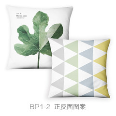 Green pillow core Nordic style sofa cushion cotton pillowcase geometric modern minimalist bed cushion 45*45cm Plush Pillowcase BP1-2