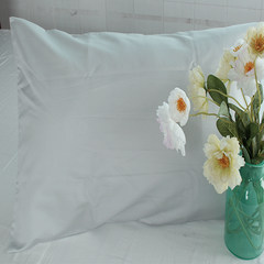 Egypt pure care pillow pillowcase 800 cotton satin Pillowcase Pillow neck in promoting new space 45CMX75CM Silver / single