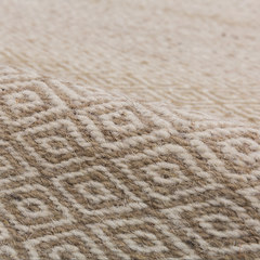 印度进口地毯客厅 纯色手工编织现代简约北欧风卧室纯羊毛地毯 2000MM×2900MM RHB-03
