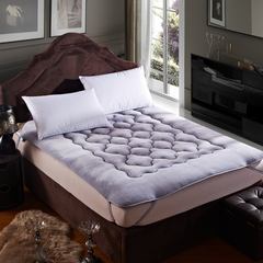 Thick warm cashmere cushion bed pad. Tatami bed mattress double bed mattress 1.8 special offer students Other