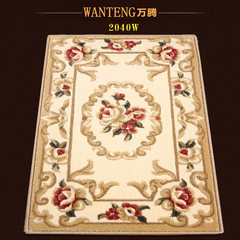 Wan Teng European door rugs, doormat, mats, living room, bedroom kitchens, washroom doormat, machine washable 60CMX90CM 2040W