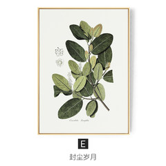 The story of modern minimalist living plant leaf decorative painting sofa backdrop wall paintings art decoration green restaurant 73*103 34mm thickness E: the dust of years Single price of leaf plant language