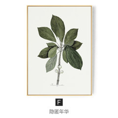 The story of modern minimalist living plant leaf decorative painting sofa backdrop wall paintings art decoration green restaurant 73*103 34mm thickness F: Hidden years Single price of leaf plant language