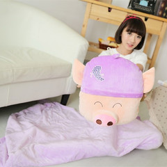 Car coral pillows pillows quilt dual-purpose sofa cushion, office air-conditioned midday blankets pillow pillow pillow single pillow: 40x60cm grape pig