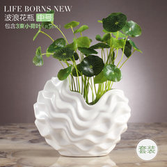 Kitchen decoration TV cabinet shoe Decor bedroom living room shelf display cabinet Home Furnishing modern products Wave medium 3 bunches of lotus leaves