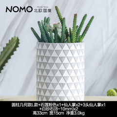 The Nordic country nordri cement flower - cylindrical geometry a gray diamond ornament flower vase L Suite