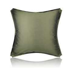 Simple modern / model room sofa cushion pillow / Designer / gold color green mercerized soft outfit by package 50X50cm does not contain core