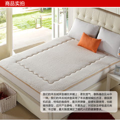 Special offer every day 1.8m1.5m thick mattresses mattress winter warm non slip dormitory bedding cotton pad Cashmere white Other