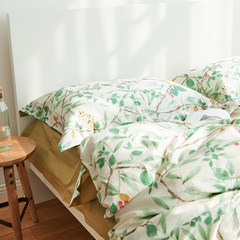 Silky cotton satin four piece 60 cotton cotton double bedding bedding printing Bed linen AG6214 Aviva 1.5m (5 feet) bed