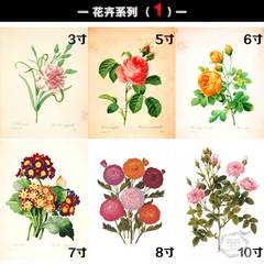 [graphic/drawing/picture frame photo frame drawing/picture frame/picture frame/photo wall combination 3-inch flower series]