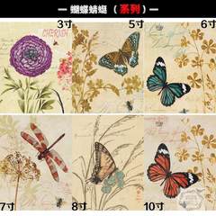 Graphic/drawing/picture frame/picture frame/picture frame/picture frame/picture wall combination of 3-inch butterfly dragonflies