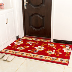 Home door mat mat hall door doormat absorbent antiskid mat carpet in the living room bedroom custom home 3 cm sponge 45 yuan / square [custom] kapok